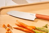 Knife Set - Perracotta - Chopping Carrots