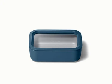 Medium Storage Container
