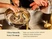 Hands washing stainless steel cookware with a brush and soapy water in a sink.